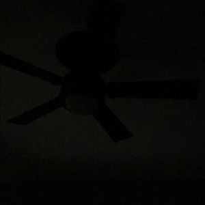 Meet your Posher, Len